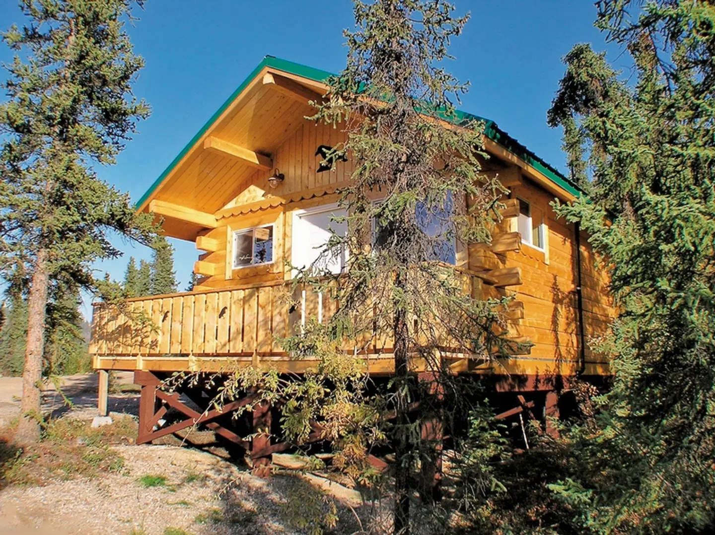 Denali Grizzly Bear Resort EXTERIOR