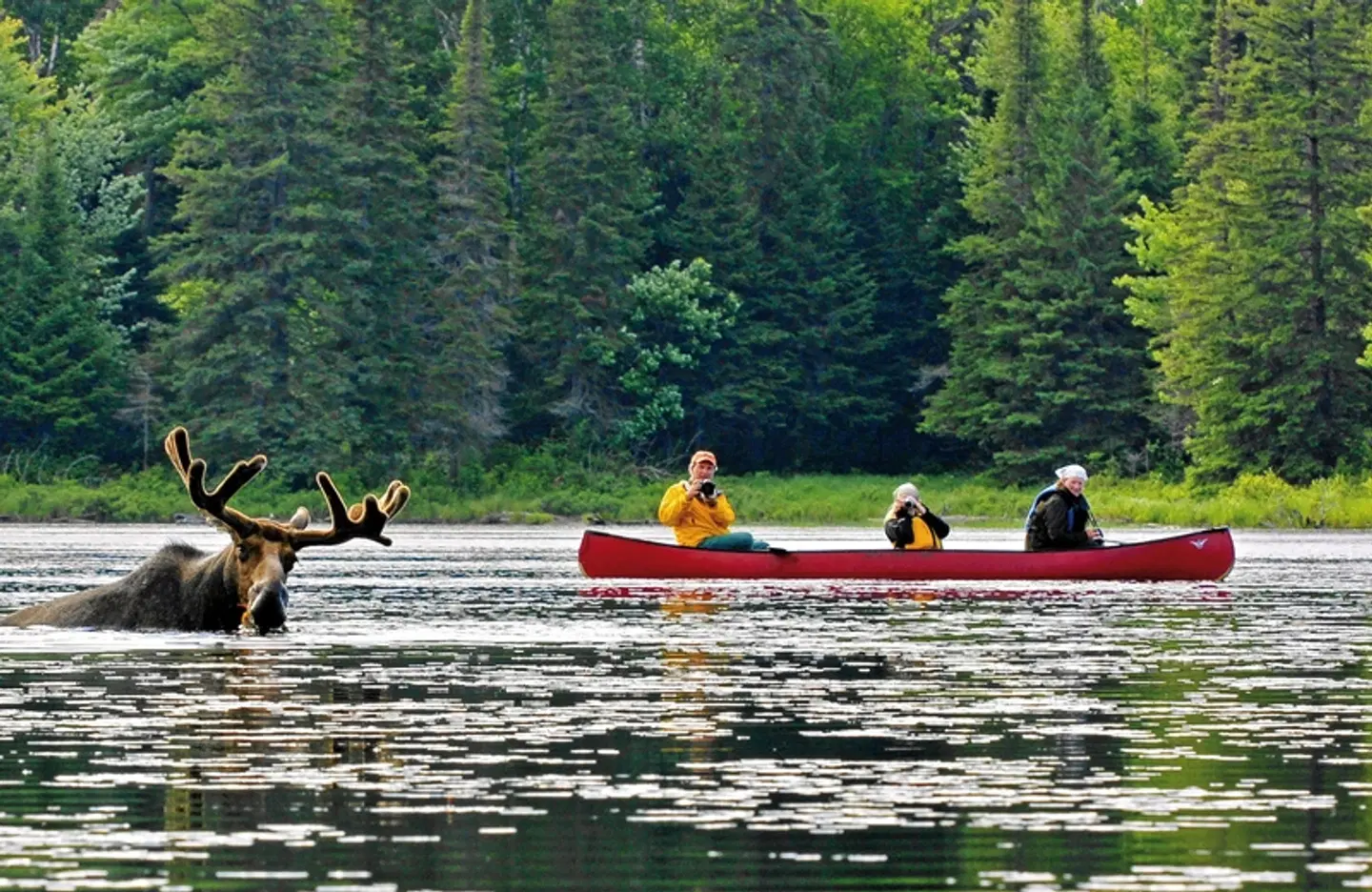 Algonquin mit dem Kanu - Zelt SPORTS_AND_LEISURE