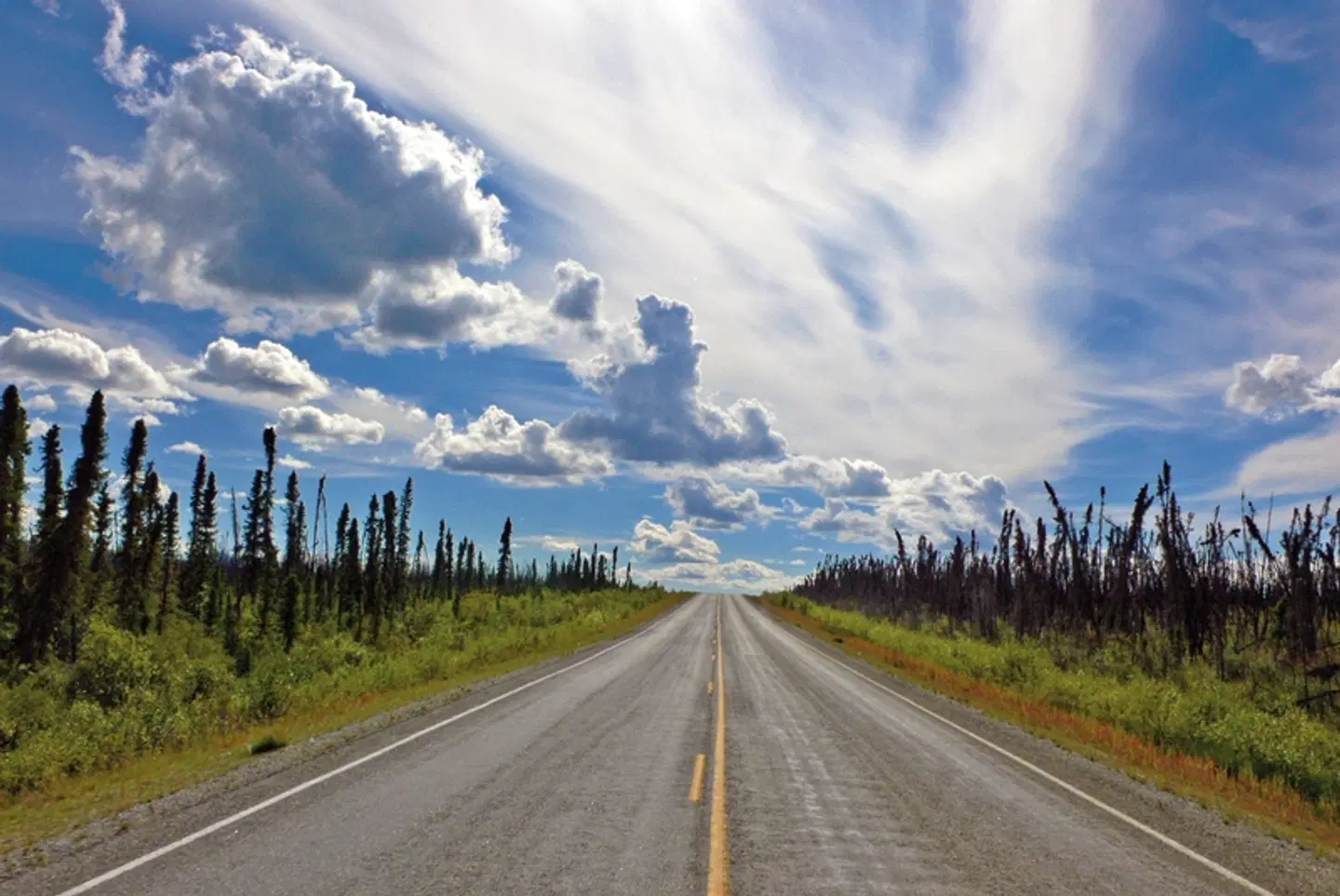 Yukon & Dempster Explorer LANDSCAPE