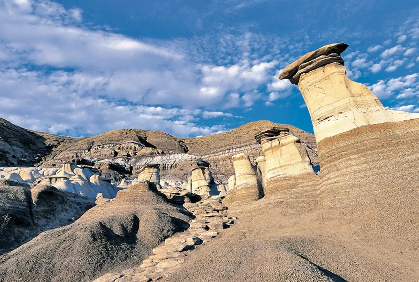 Great Parks of the West Strand