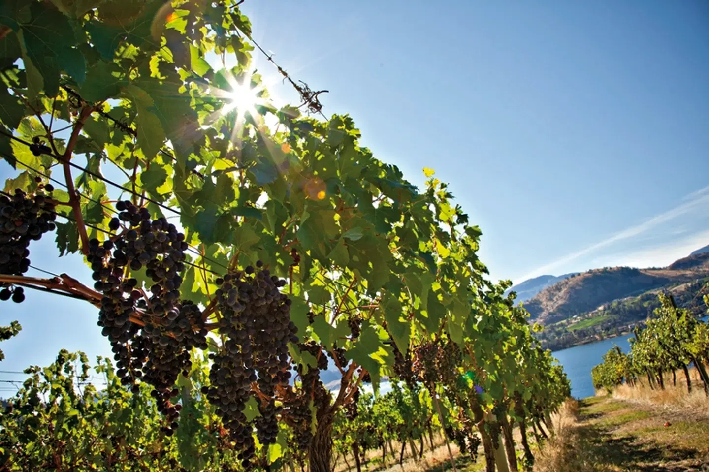 Mächtige Rockies & Charmante Küste LANDSCAPE