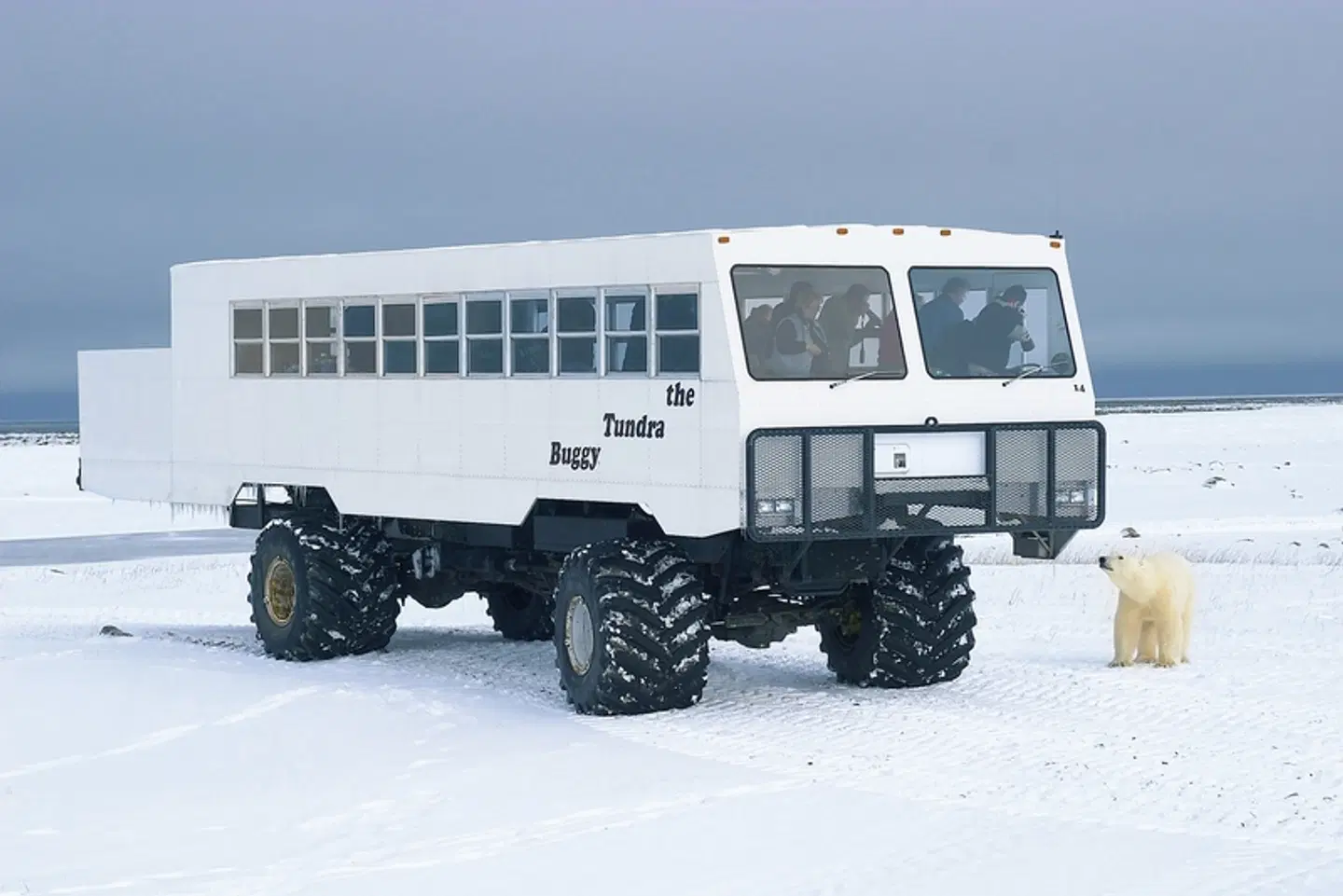 Erlebnis Eisbären mit Tundra Buggy Lodge (6 Nächte) EXTERIOR