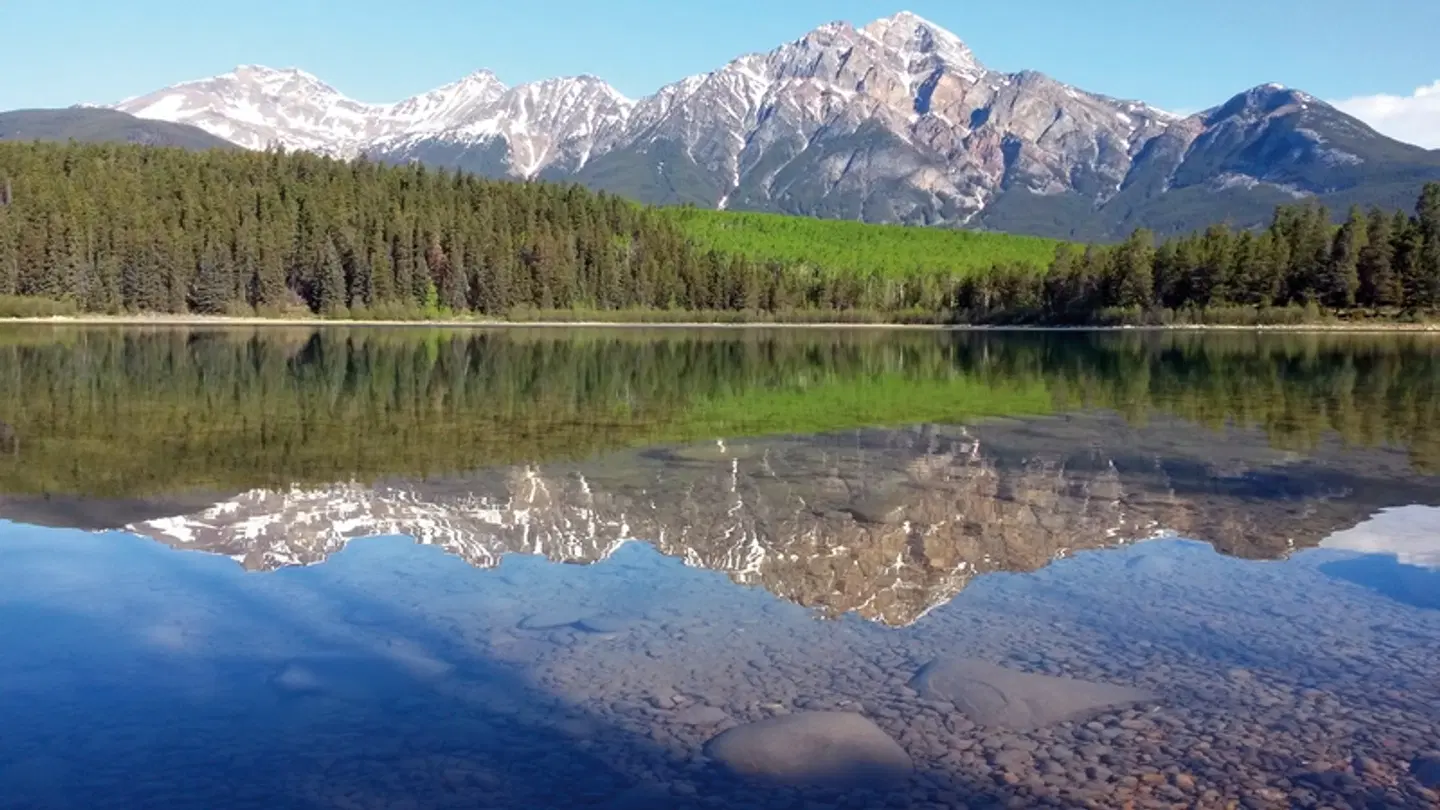 Wilderness Experience LANDSCAPE
