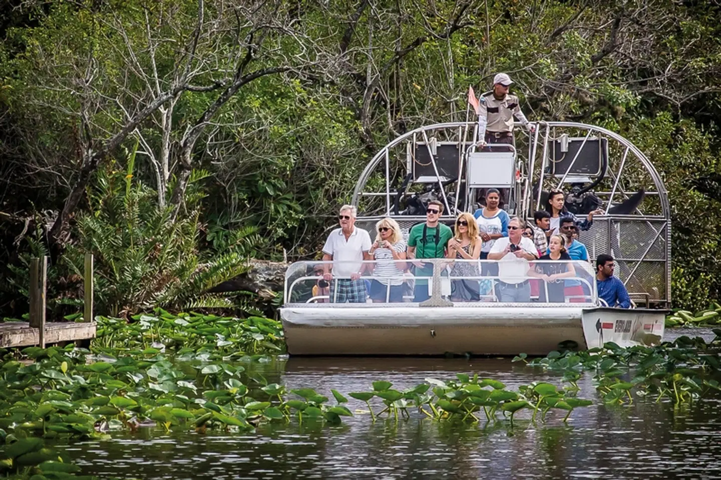 Sunshine State LANDSCAPE