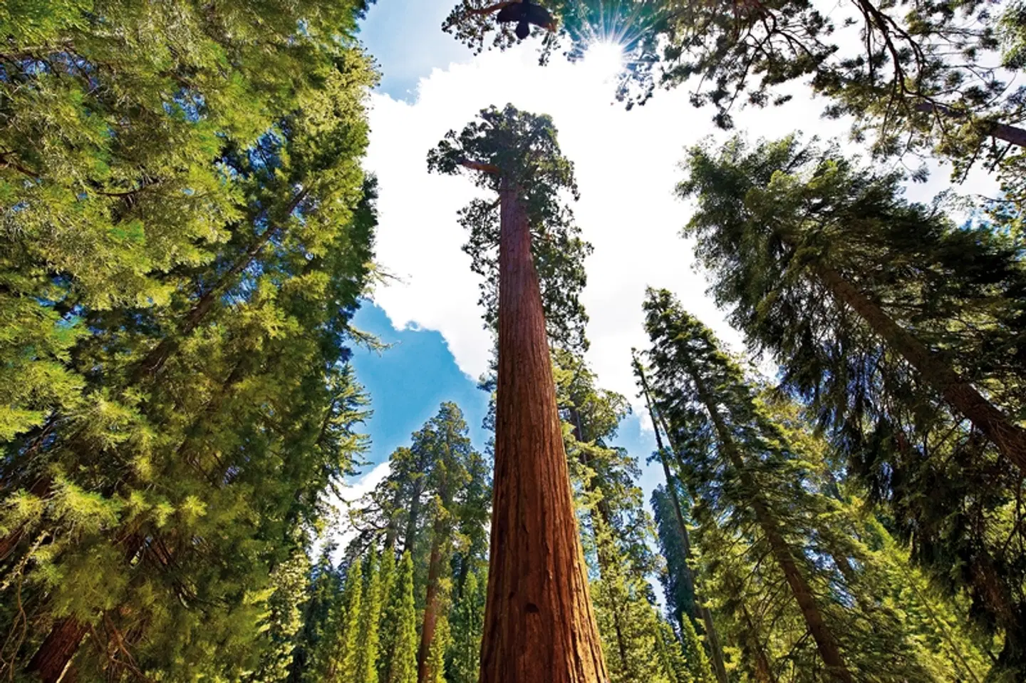 Naturschönheiten der Westküste LANDSCAPE