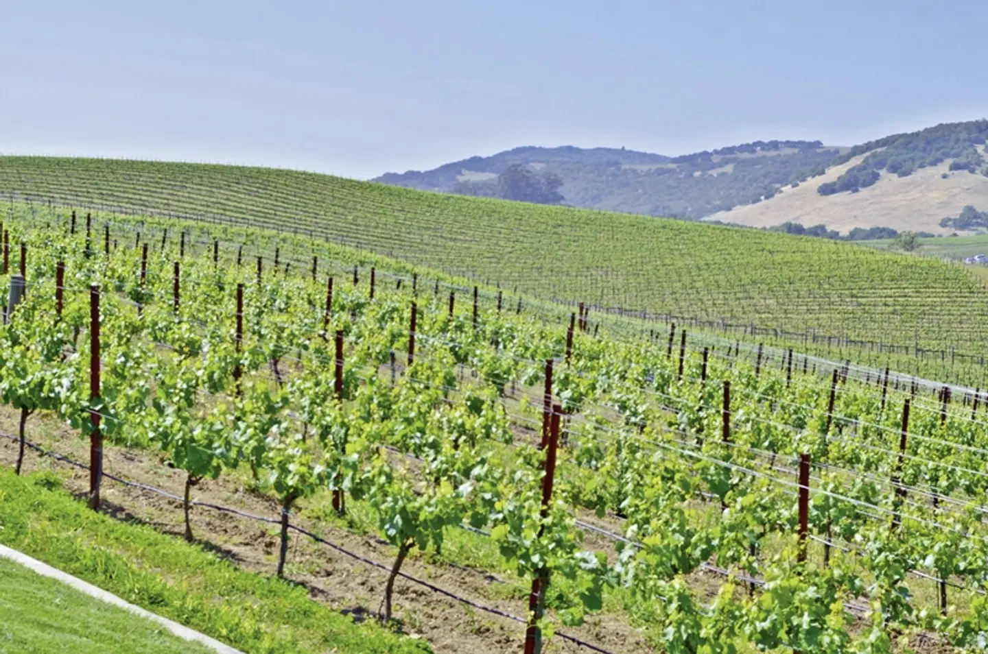 Naturschönheiten der Westküste LANDSCAPE