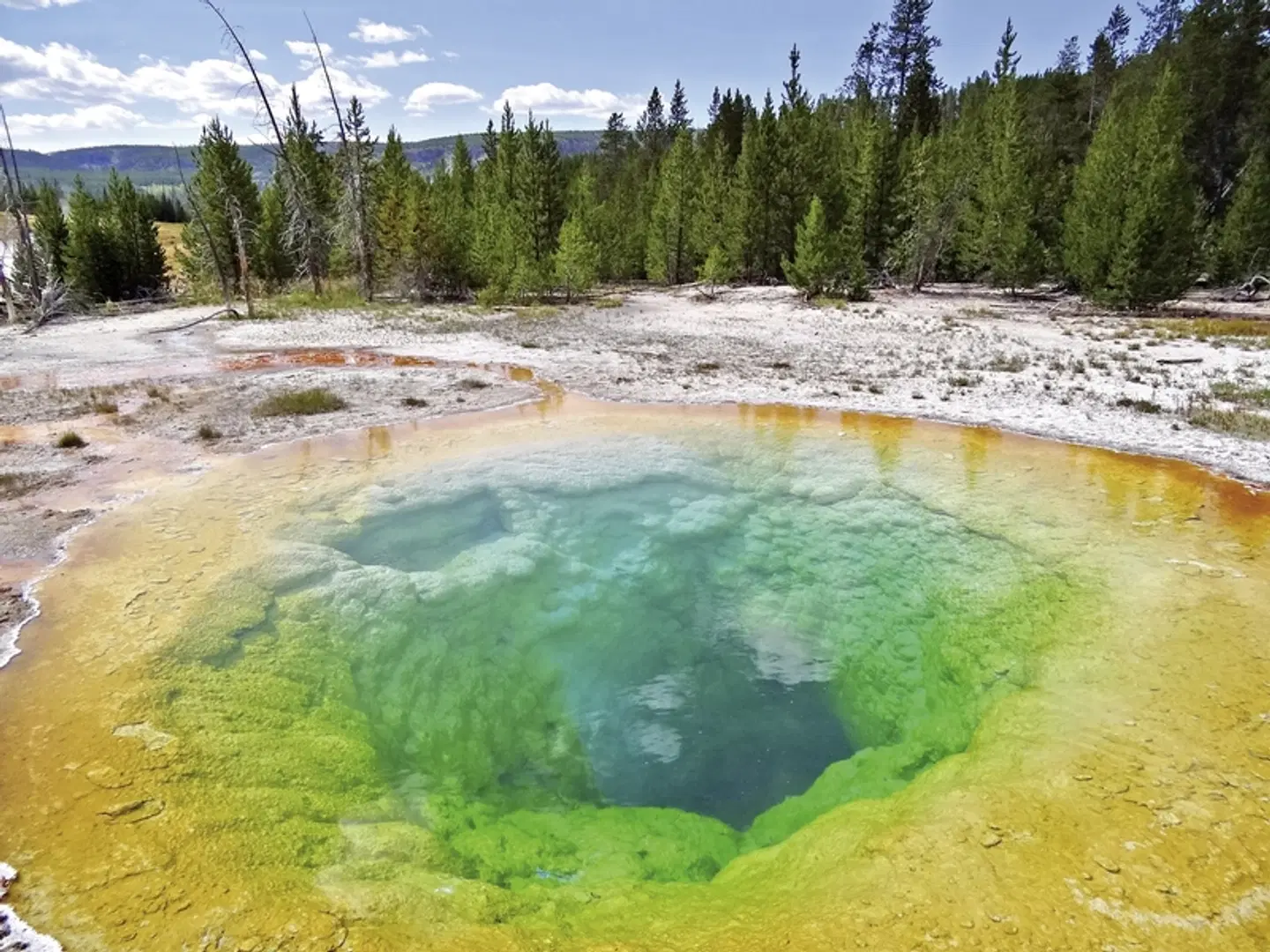 Im Reich der Büffel & Cowboys Strand