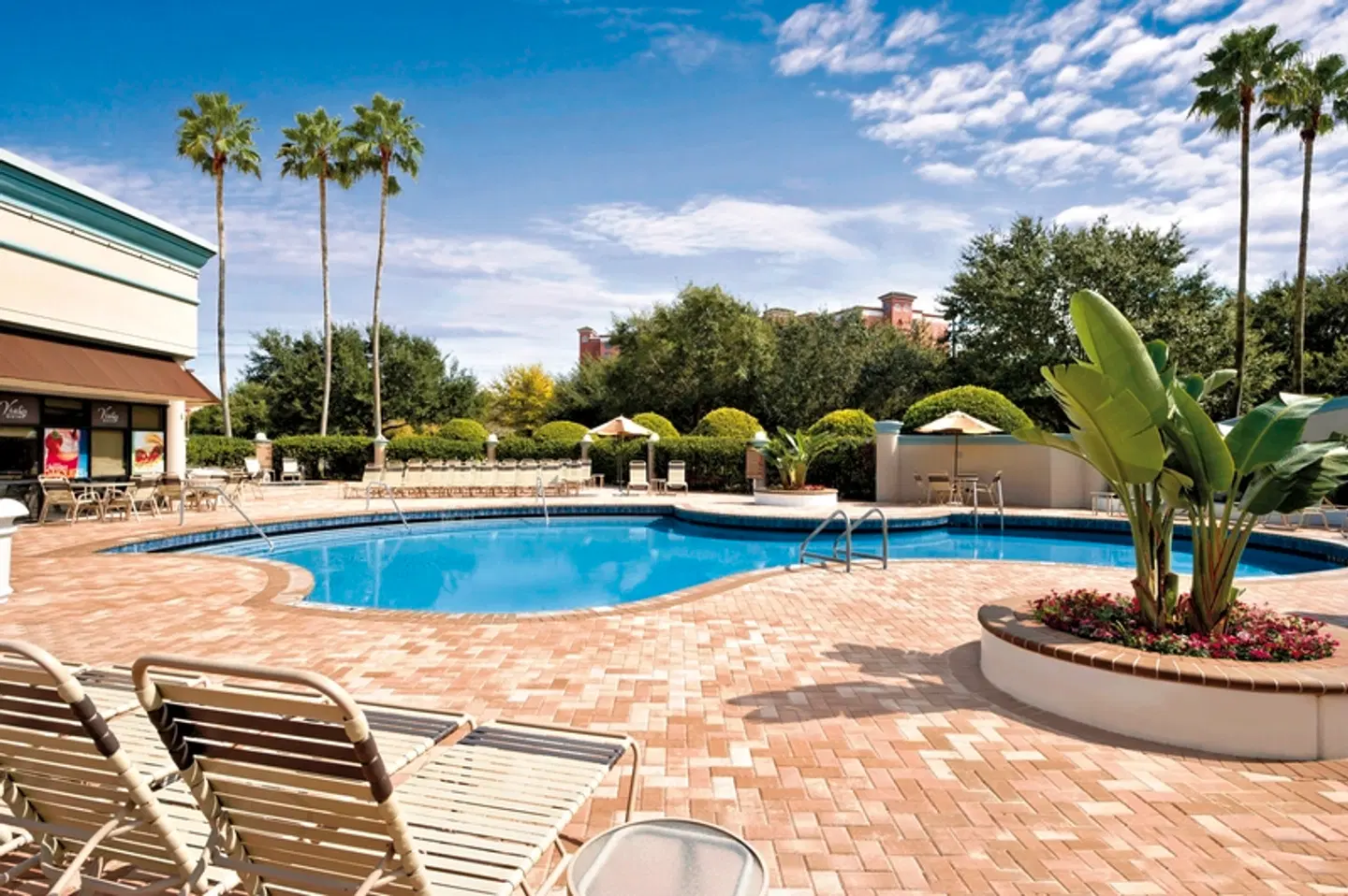 Buena Vista Suites Pool