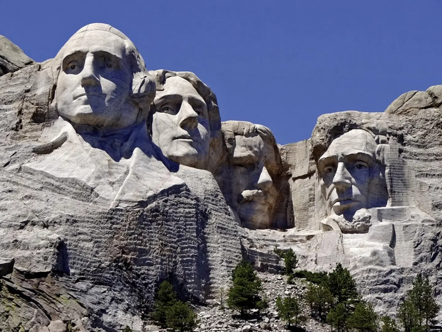 Im Reich der Büffel & Cowboys Tiere