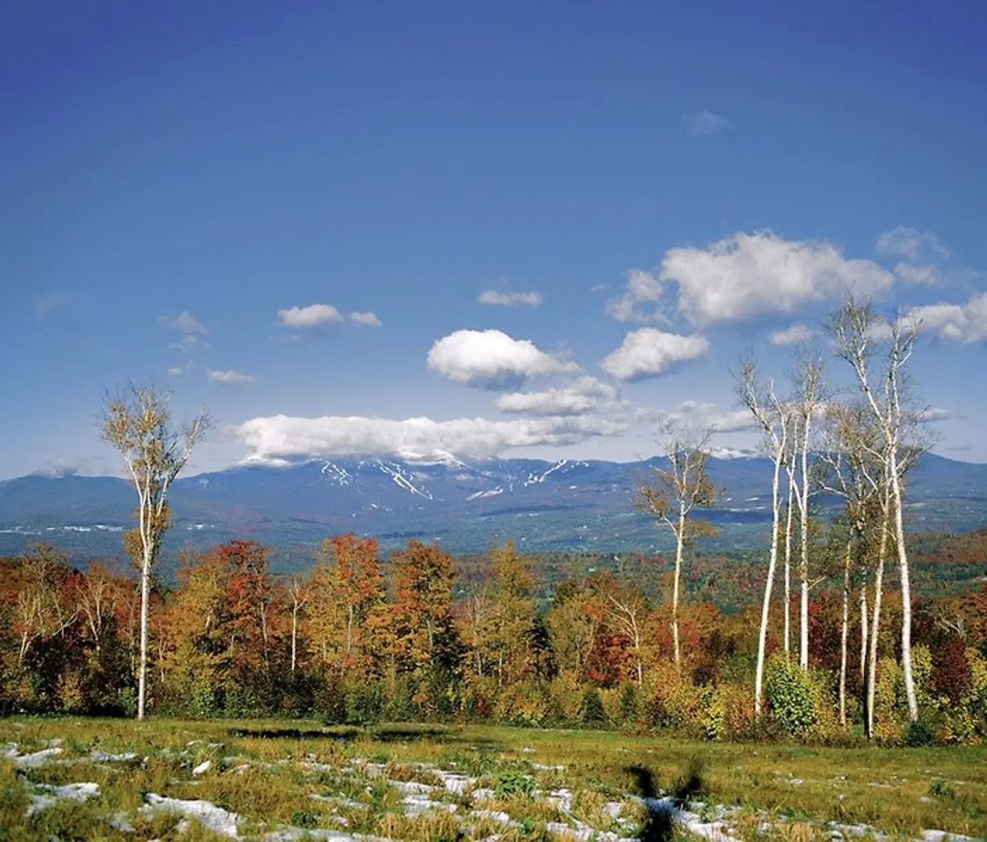 Trapp Family Lodge LANDSCAPE