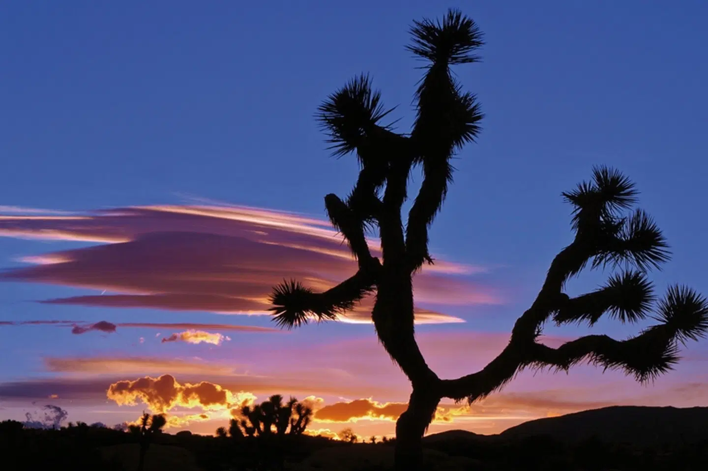 Vom Atlantik zum Pazifik LANDSCAPE