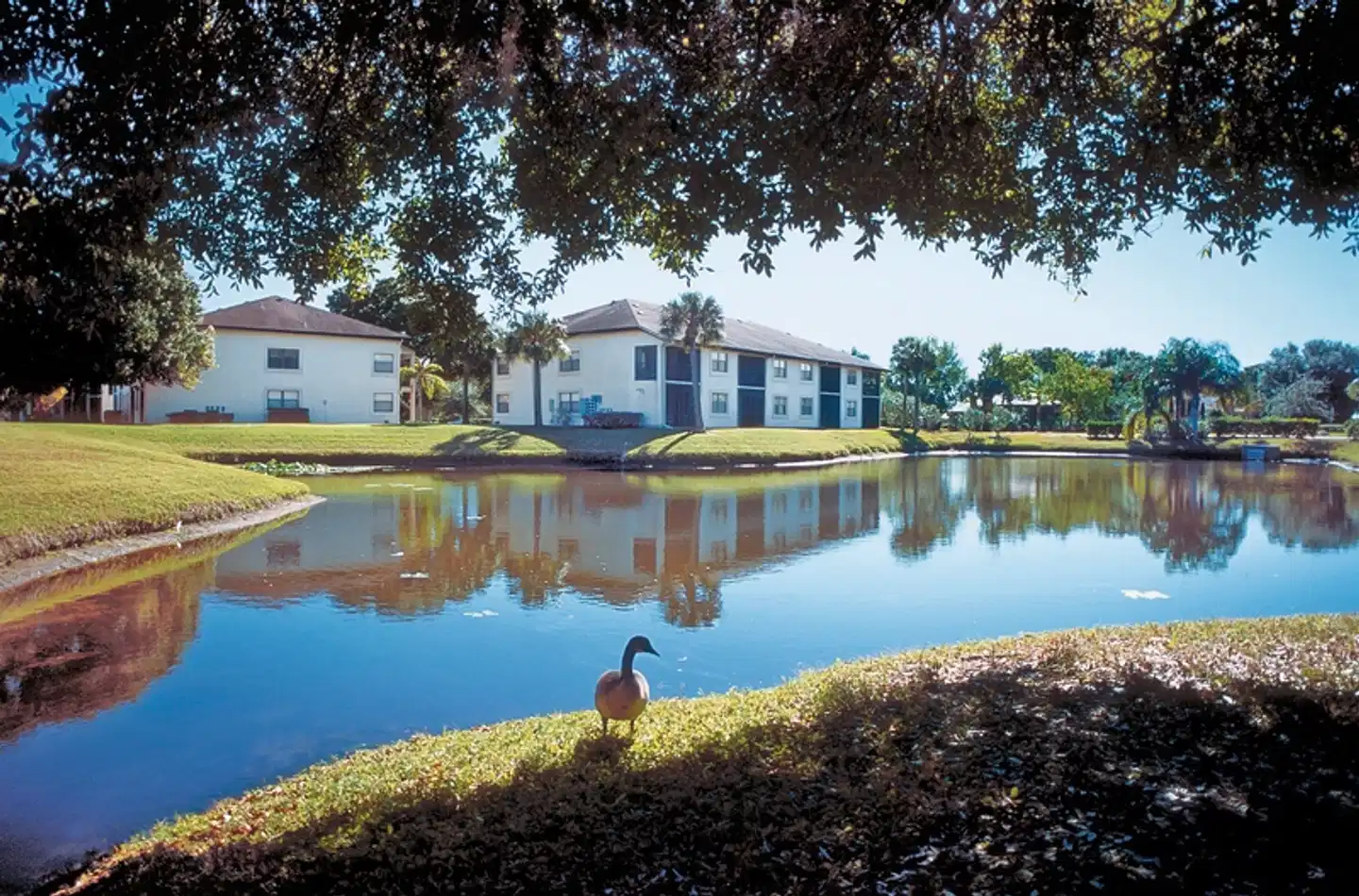 Shorewalk Vacation Villas Apartments Pool