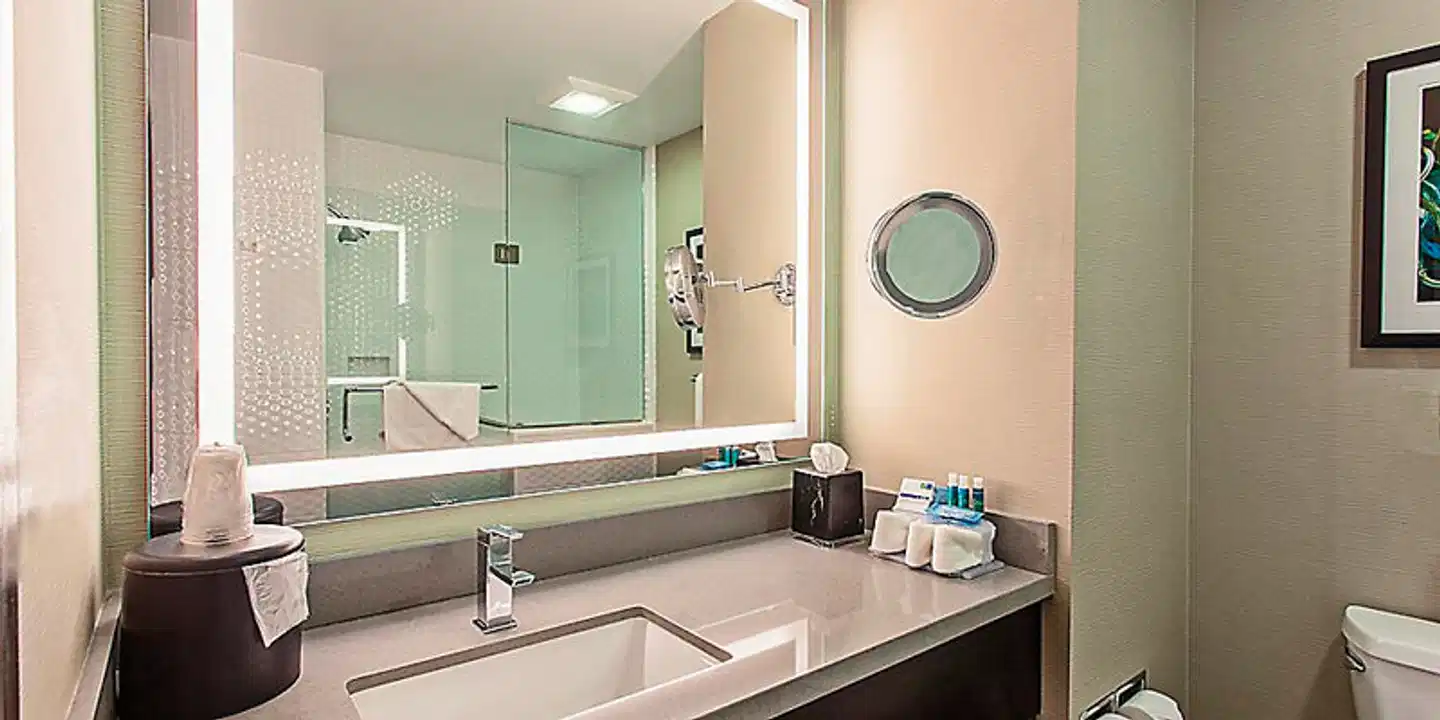 Holiday Inn Express Hotel & Suites Hollywood Walk of Fame Badezimmer