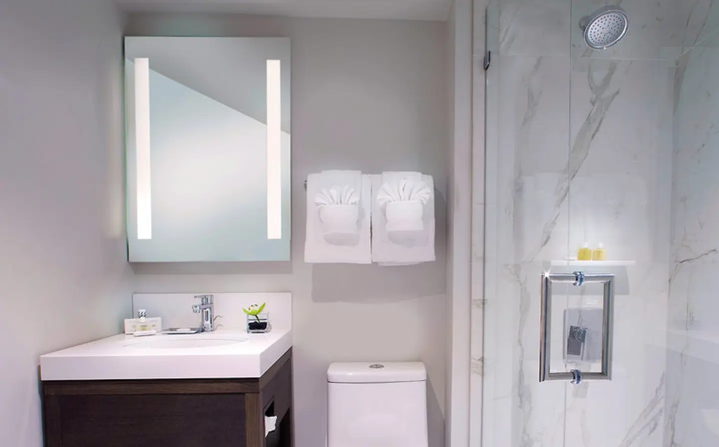 The Benson Portland, Curio Collection by Hilton Badezimmer
