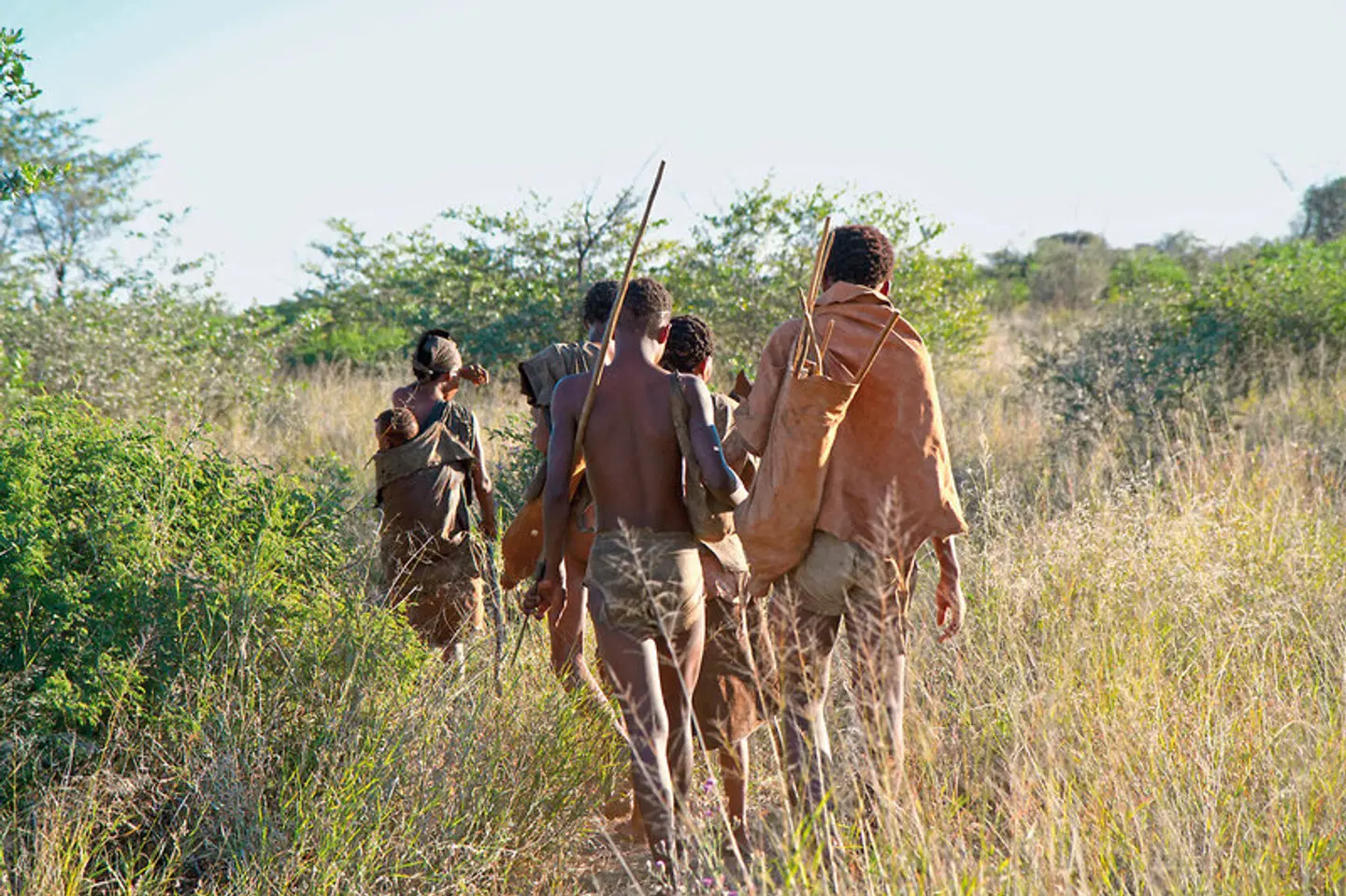 Made in Namibia Tiere