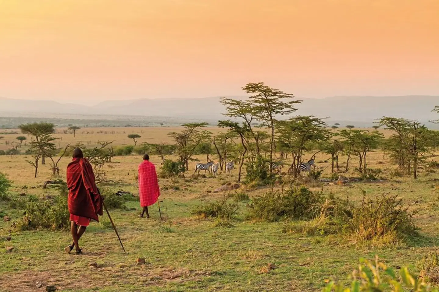 Kenia & Tansania - der Rhythmus der Wildnis LANDSCAPE
