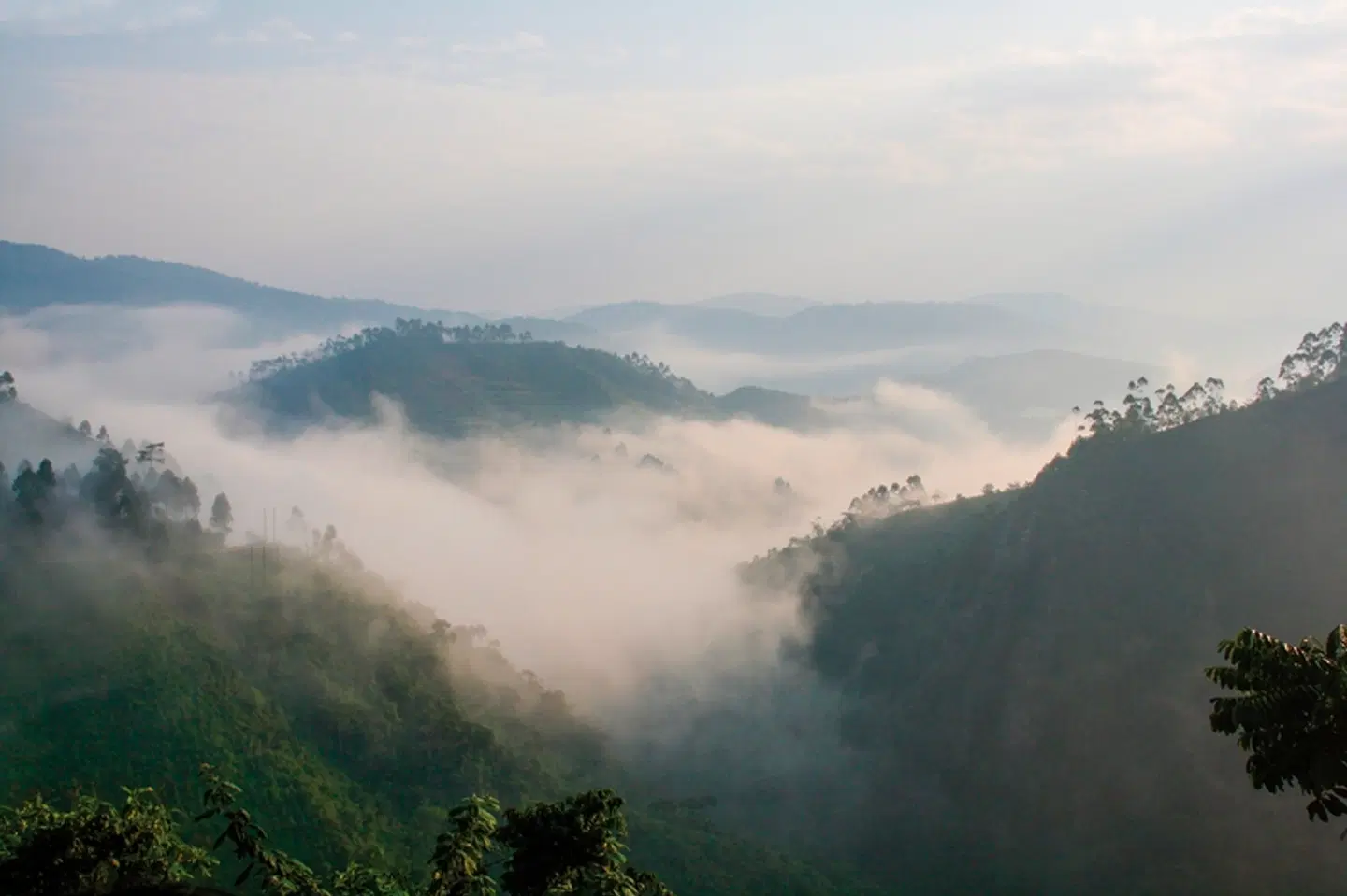 Stippvisite Uganda LANDSCAPE