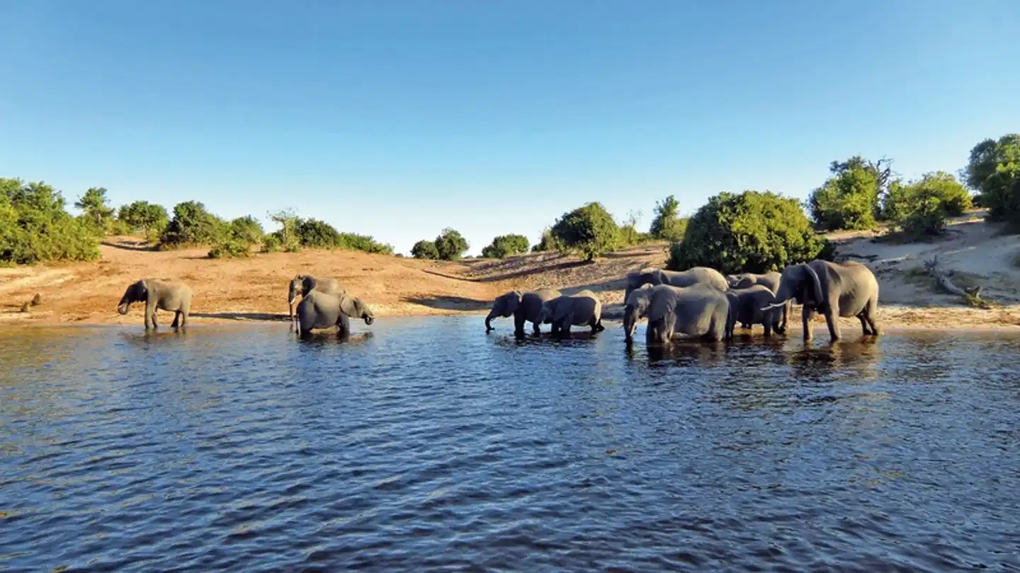 Fly&Drive Botswana - Une aventure pour les débutants Strand
