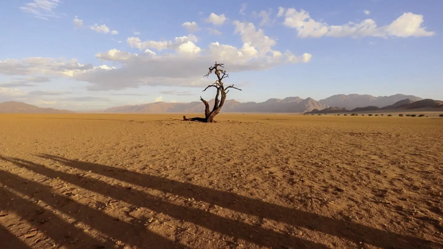 Made in Namibia LANDSCAPE