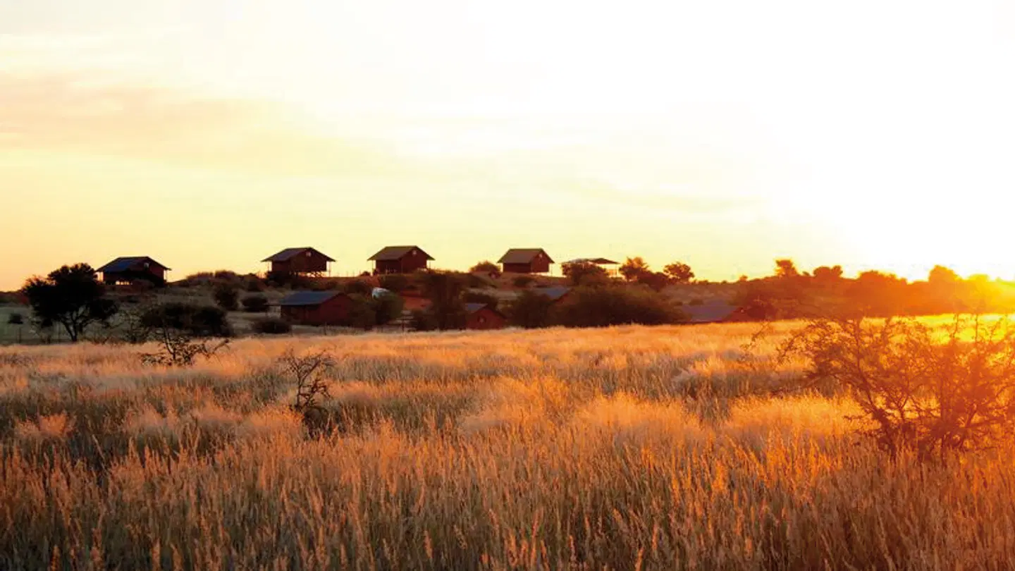 Bagatelle Kalahari Game Ranch LANDSCAPE