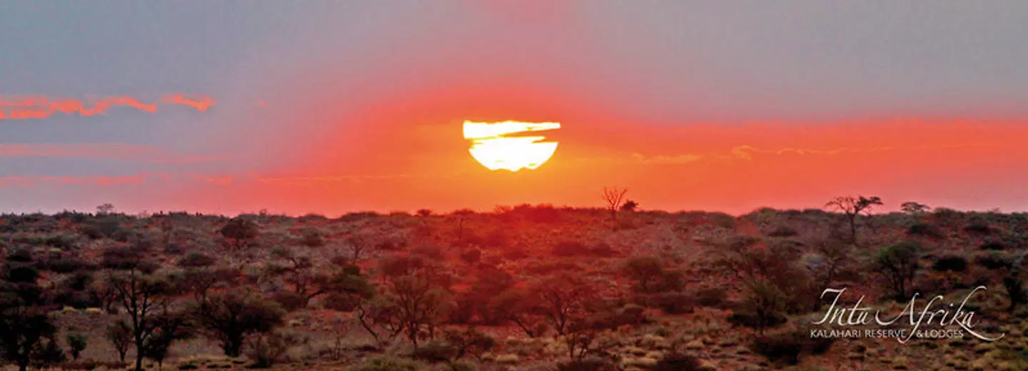 Intu Afrika Kalahari Suricate Tented Lodge LANDSCAPE