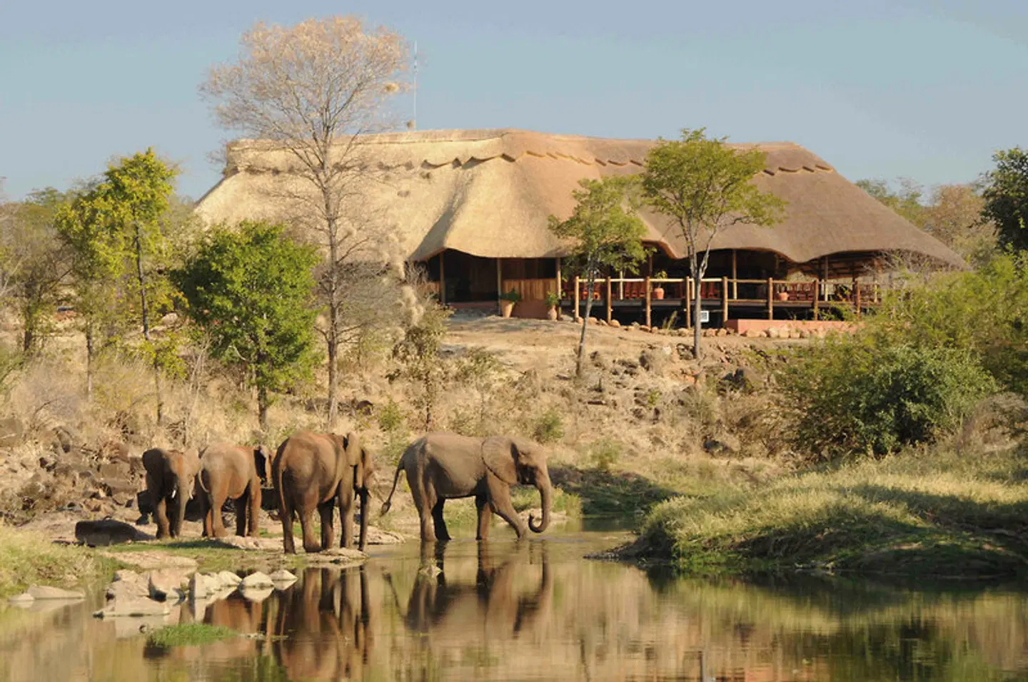 The Wallow Lodge Tiere