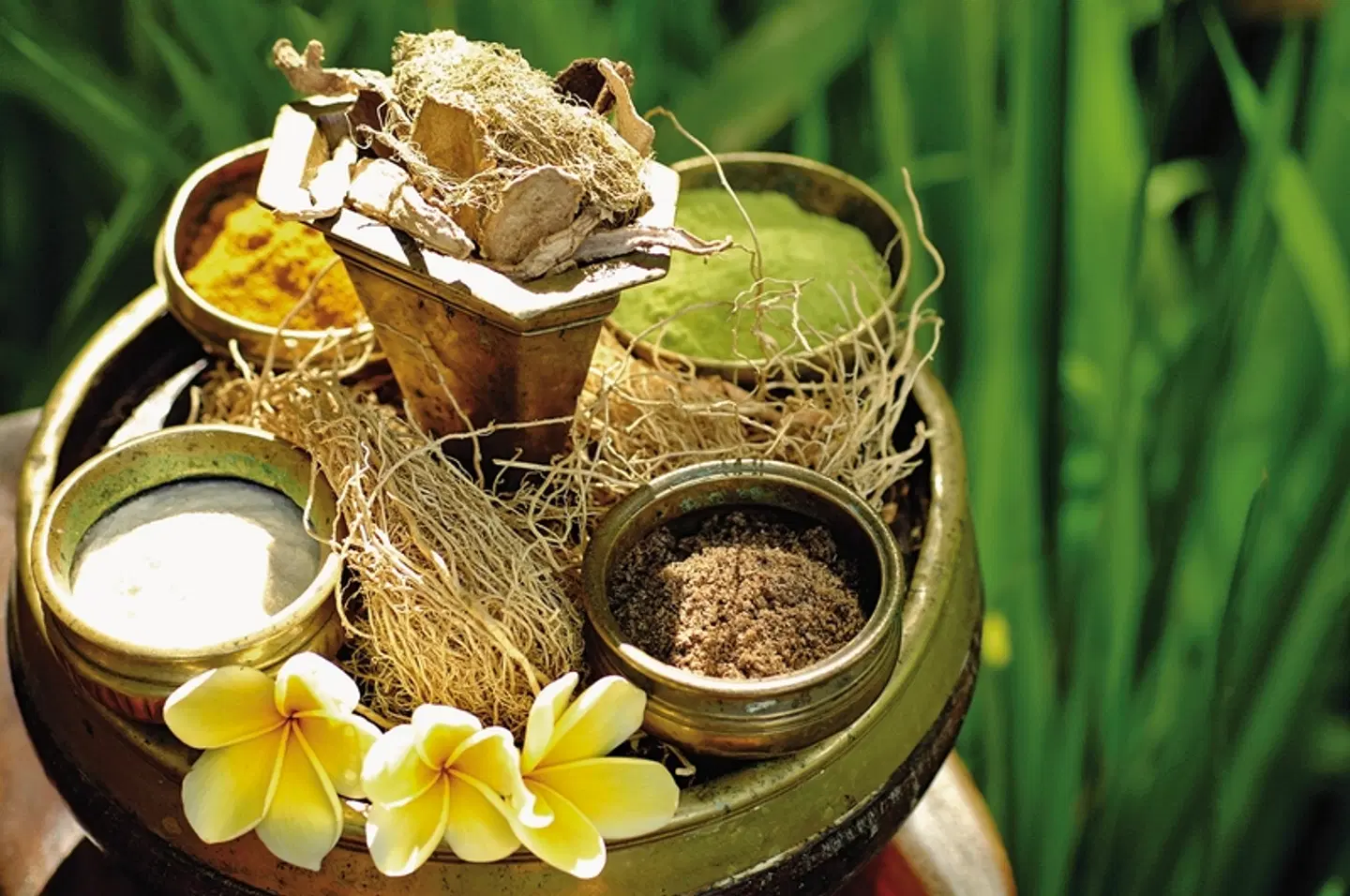 Nationalparks in Westbali und Ostjava (Privatreise) Tiere