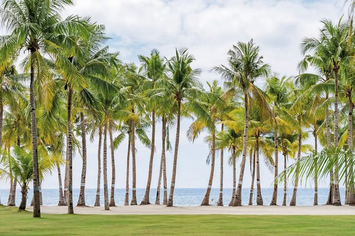 Bohol Beach Club Garten