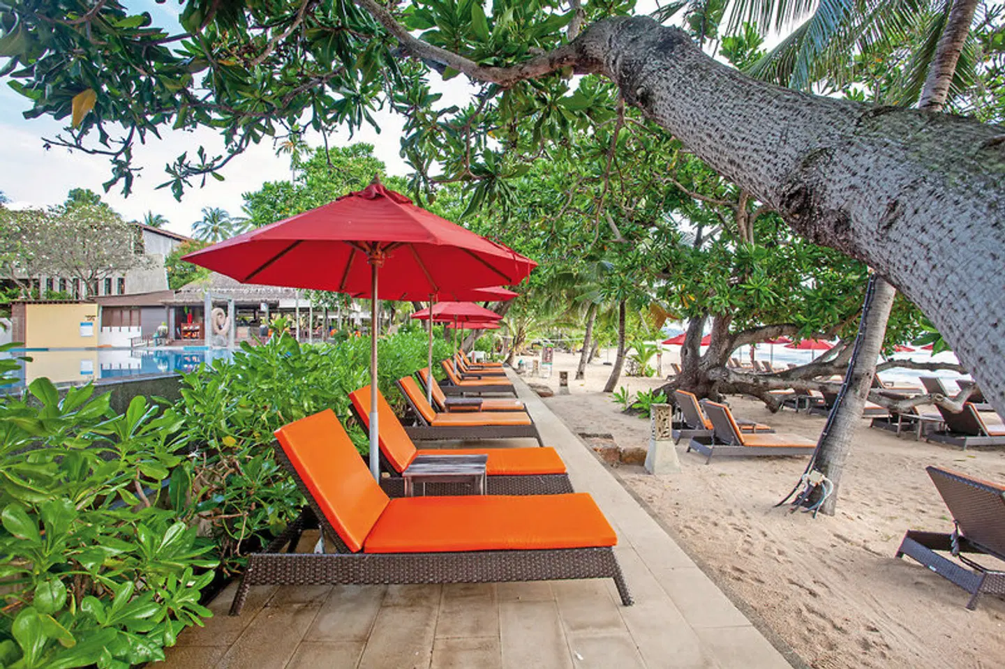 New Star Beach Resort Terrasse