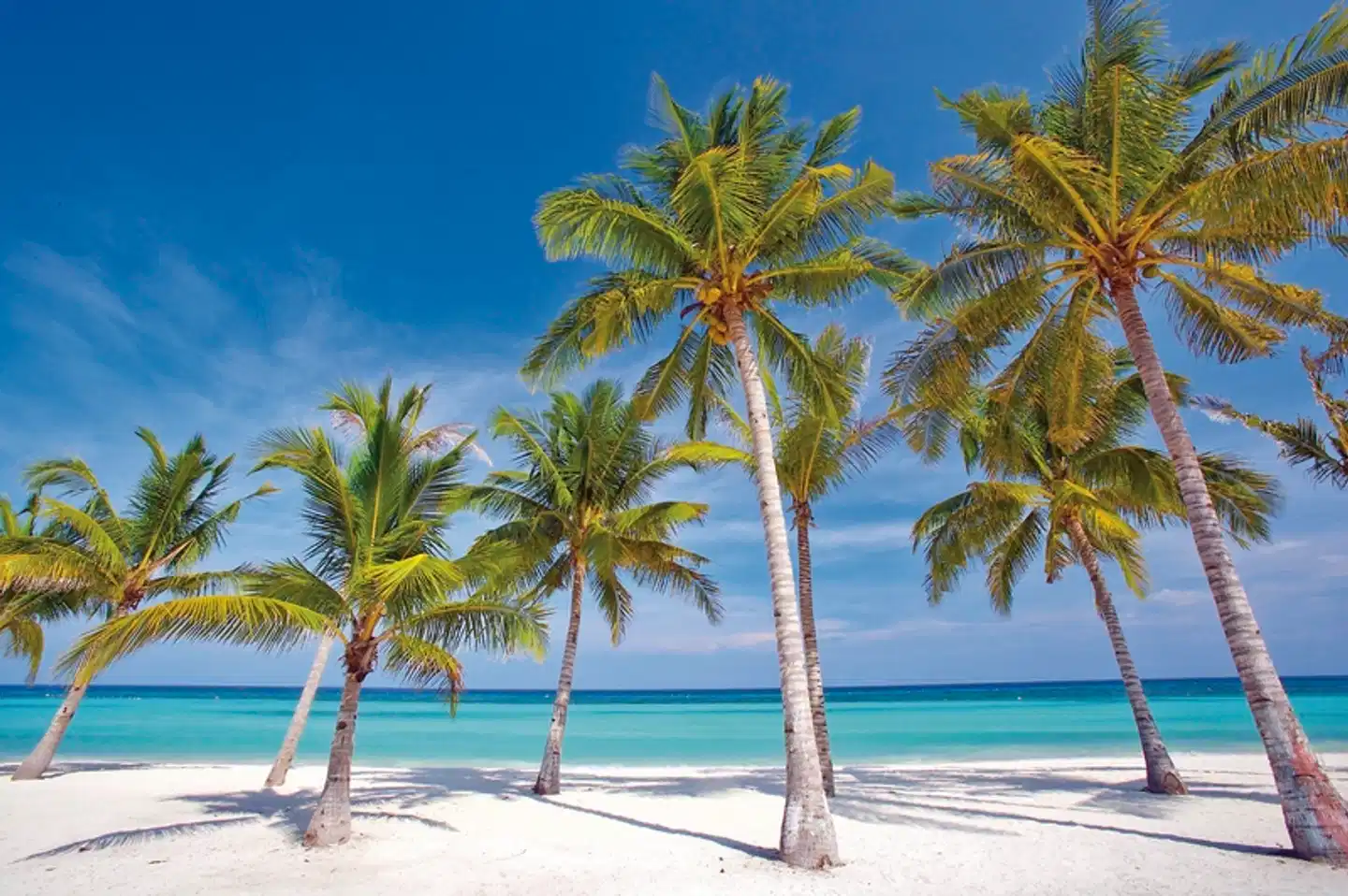 Philippinen hautnah - Tropenzauber und Inselträume Strand