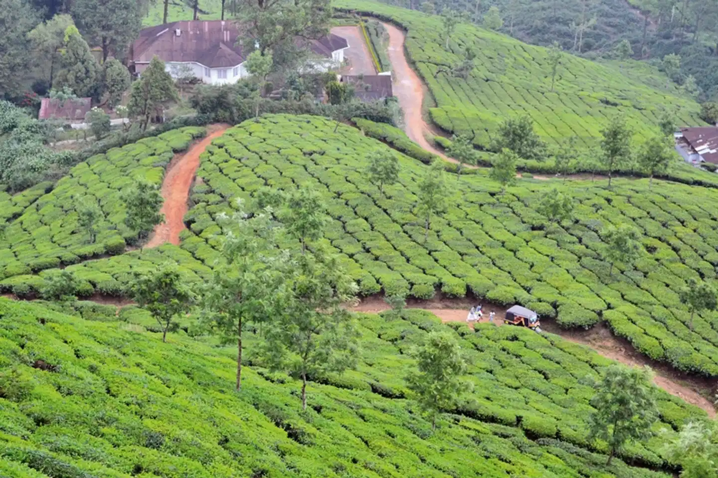 Gandhis grüner Garten (Gruppenreise) Landschaft