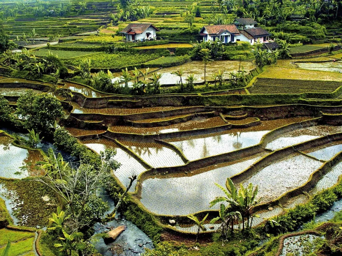 Schätze Indonesiens (Gruppenreise) Tiere