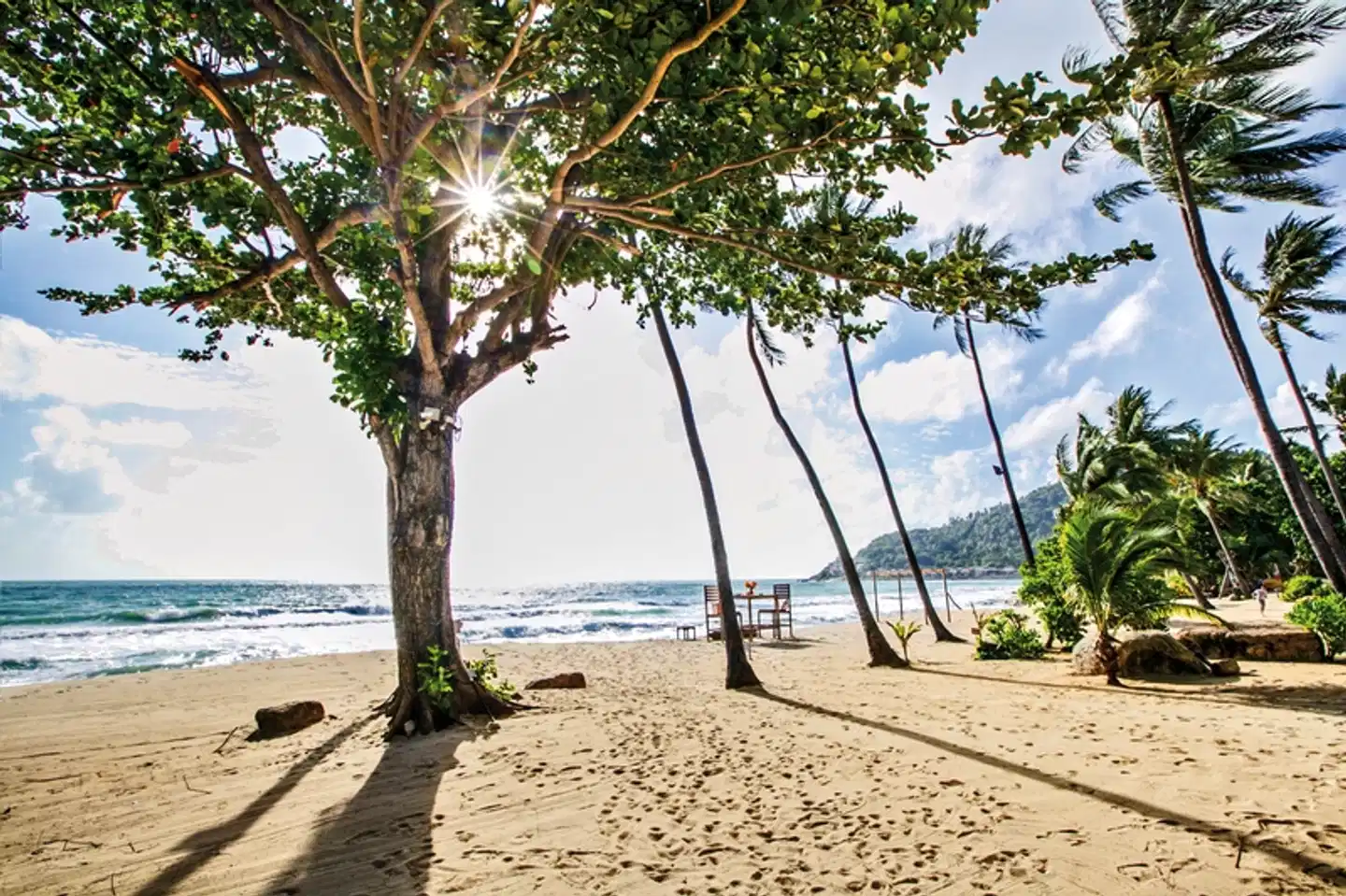 New Star Beach Resort Strand