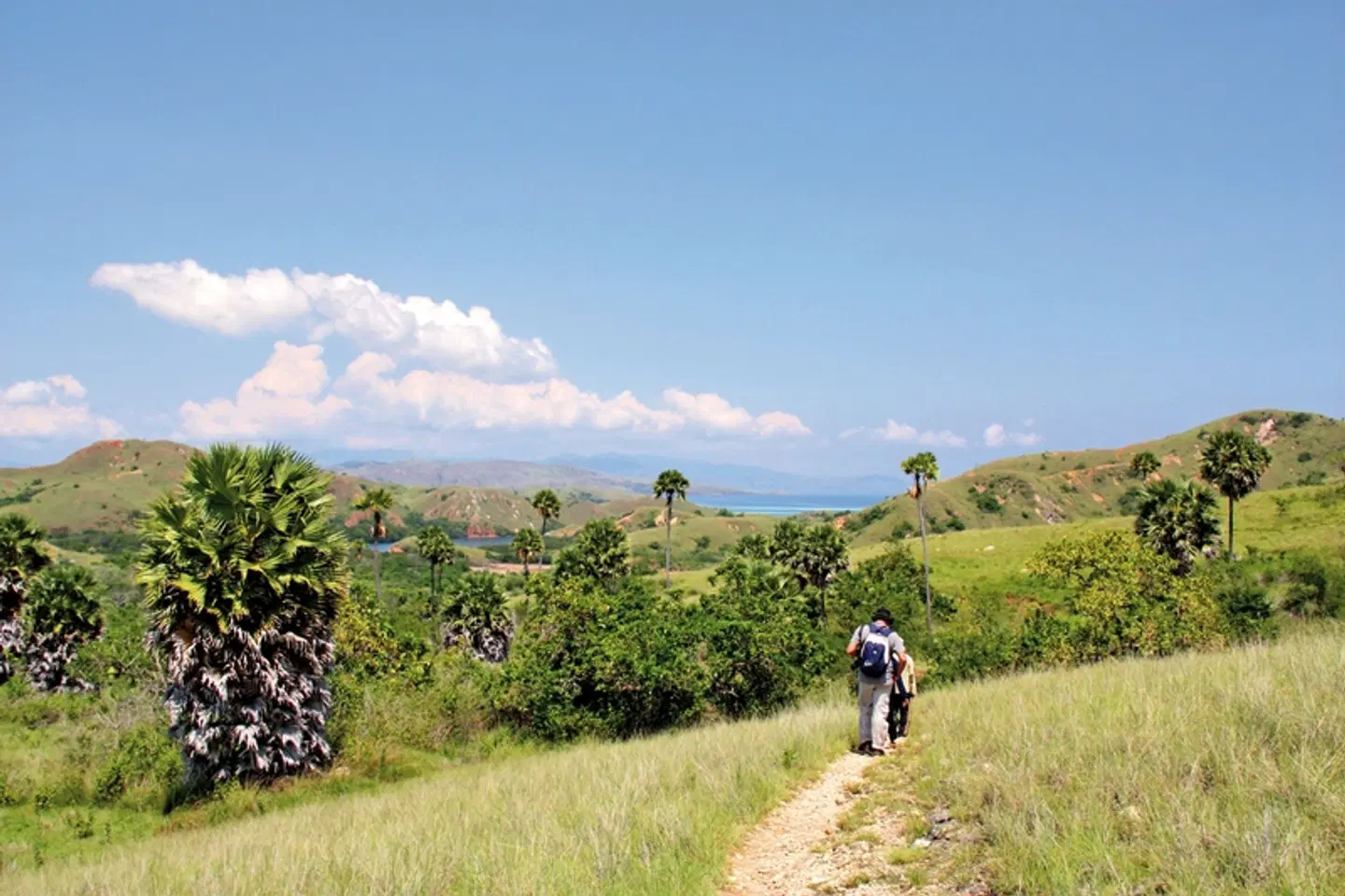 Komodo & Flores zum Kennenlernen (Privatreise) LANDSCAPE