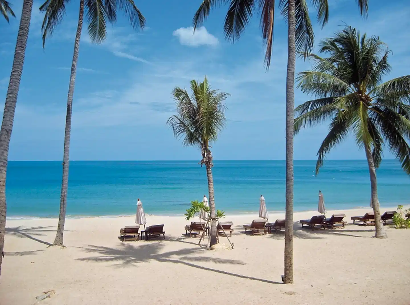 Koh Samuis Inselwelten Strand