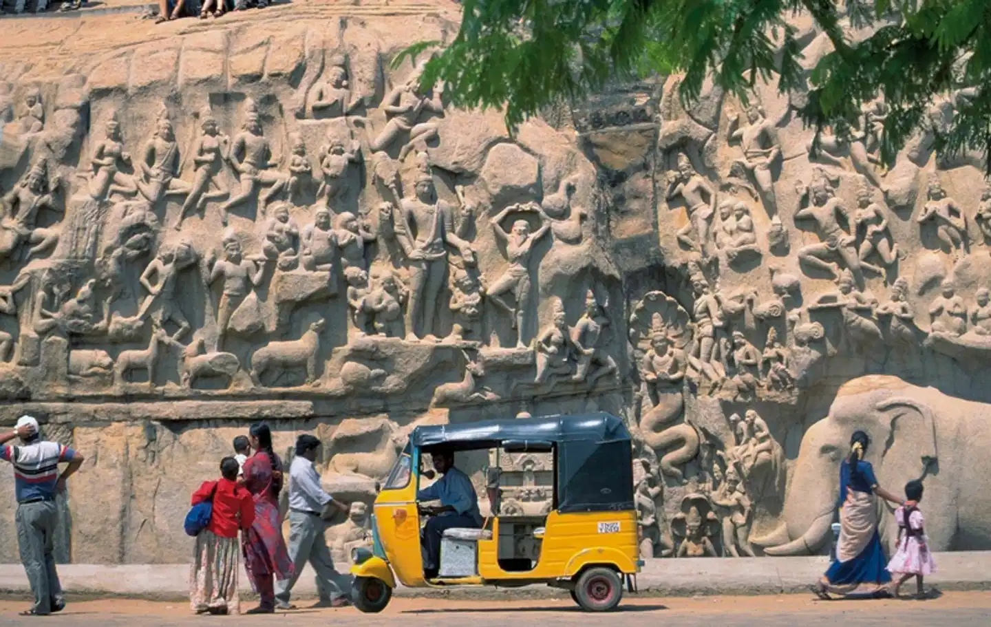 Gandhis grüner Garten (Gruppenreise) Sport und Entertainment