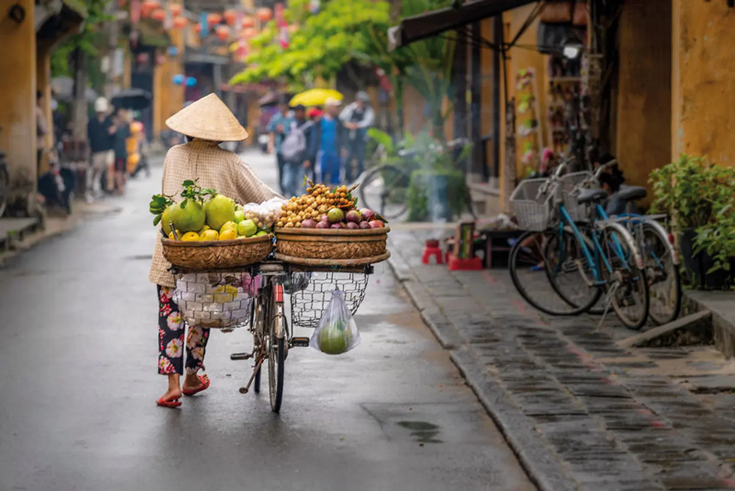 Naturschönheiten in Nordvietnam Restaurant
