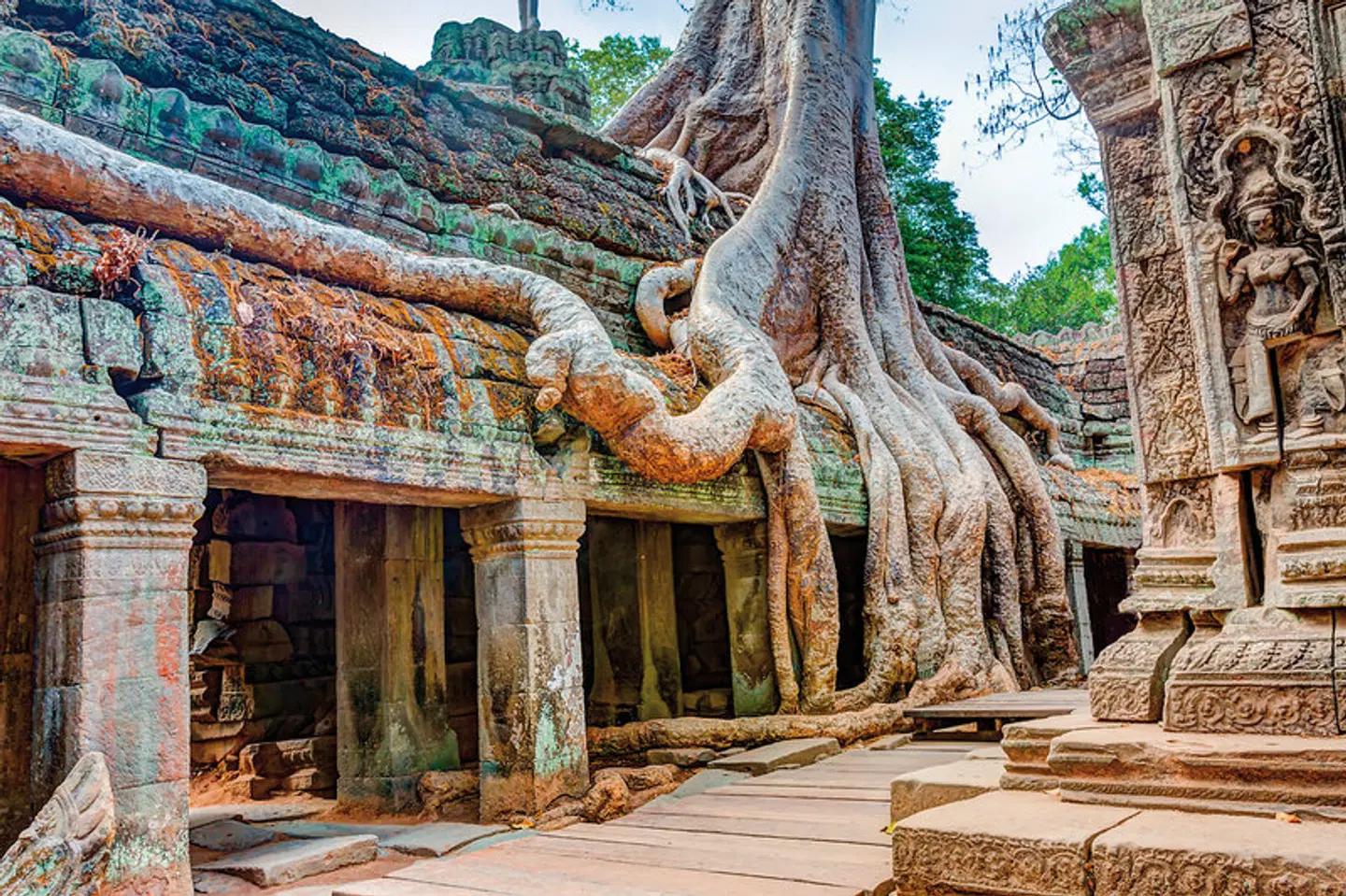 Kambodschas Tempel und Traumstrände (Privatreise) Tiere