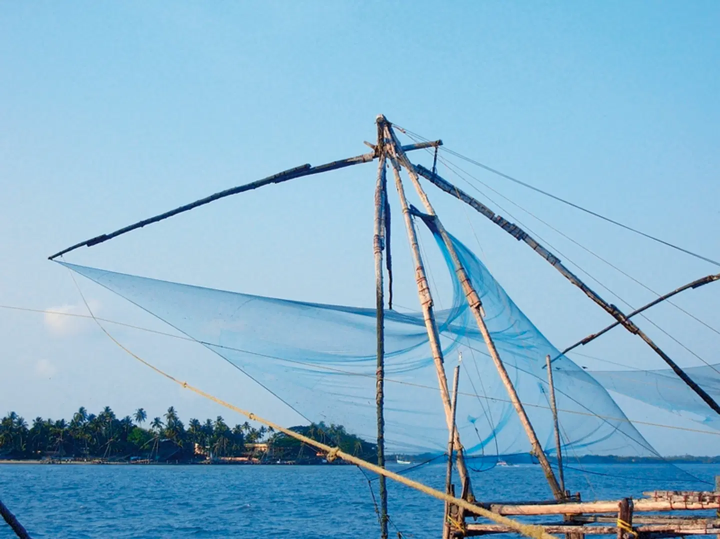 Gandhis grüner Garten (Gruppenreise) LANDSCAPE