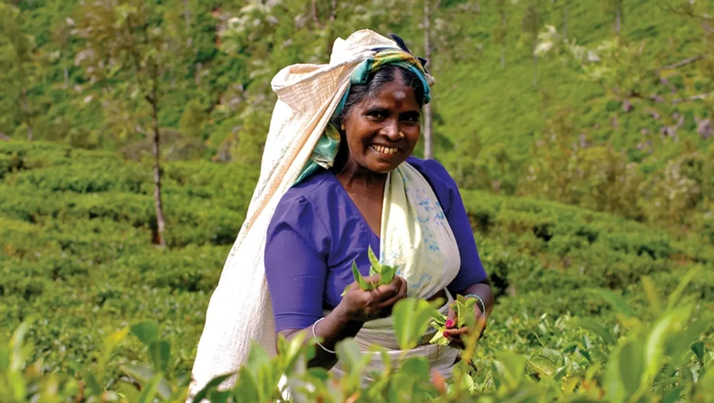 Sri Lanka hautnah erleben PEOPLE