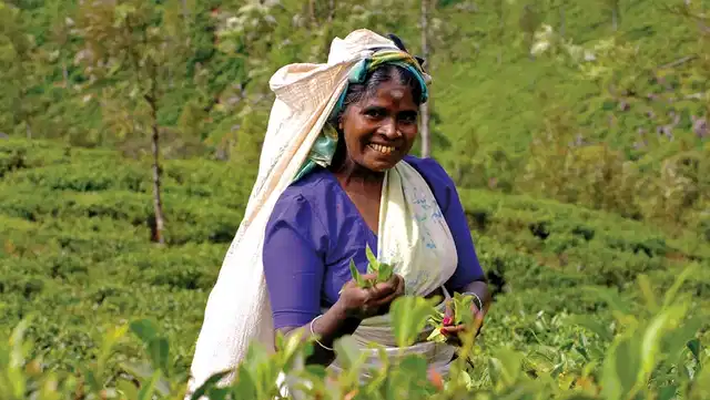 Sri Lanka hautnah erleben Personen