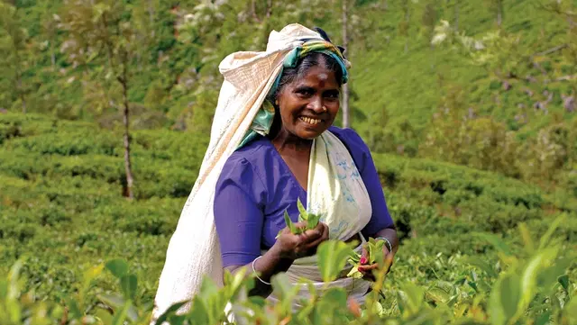 Sri Lanka hautnah erleben PEOPLE