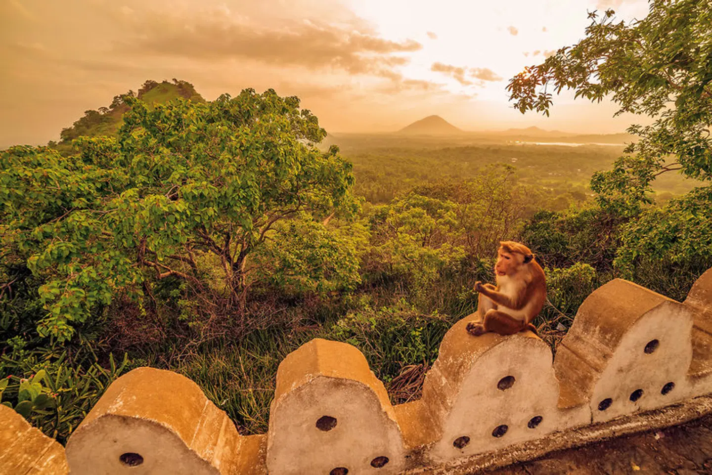 Sri Lanka hautnah erleben LANDSCAPE