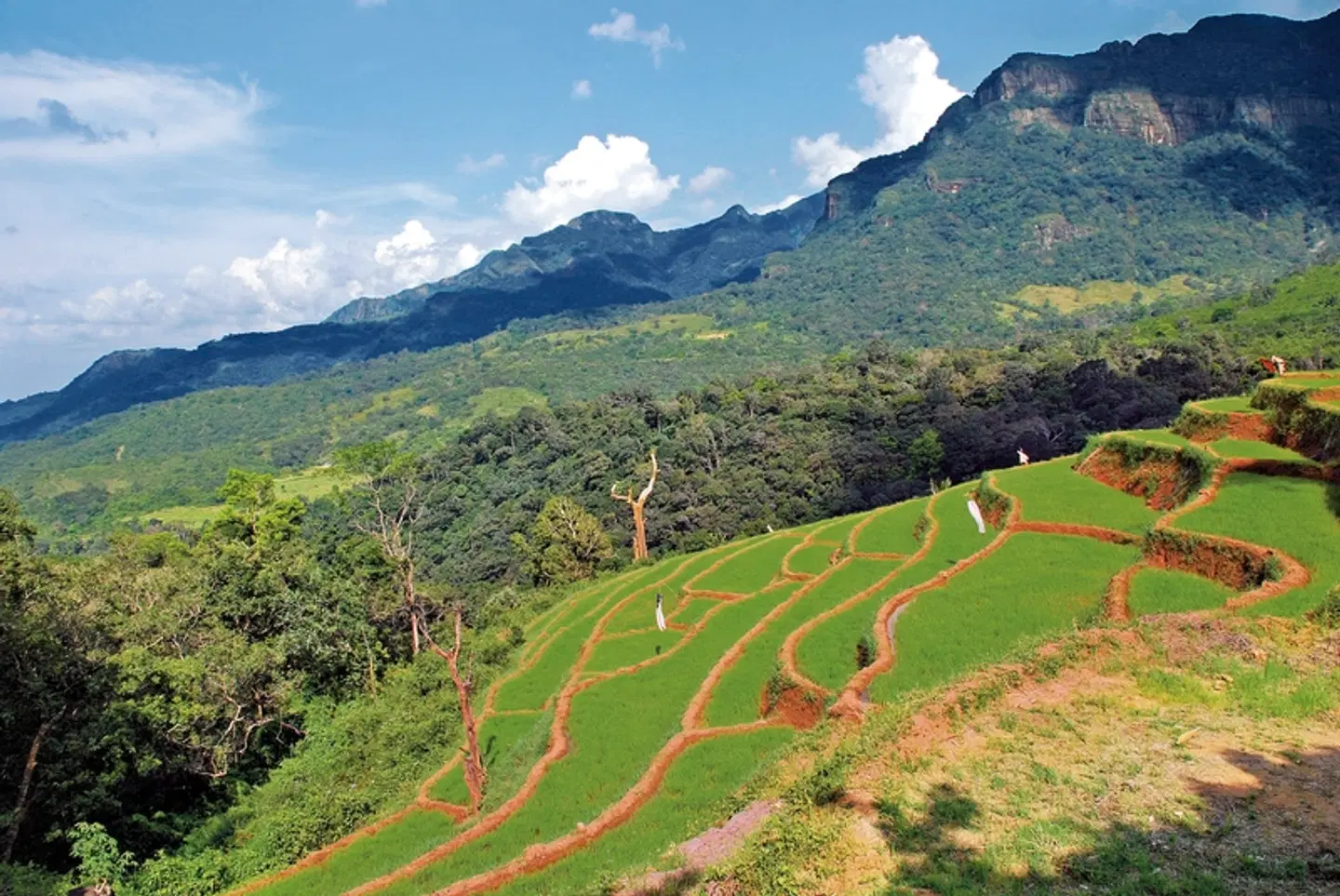 Königsstädte Sri Lankas (Privatreise) LANDSCAPE
