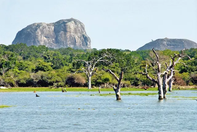 Perle im Indischen Ozean LANDSCAPE