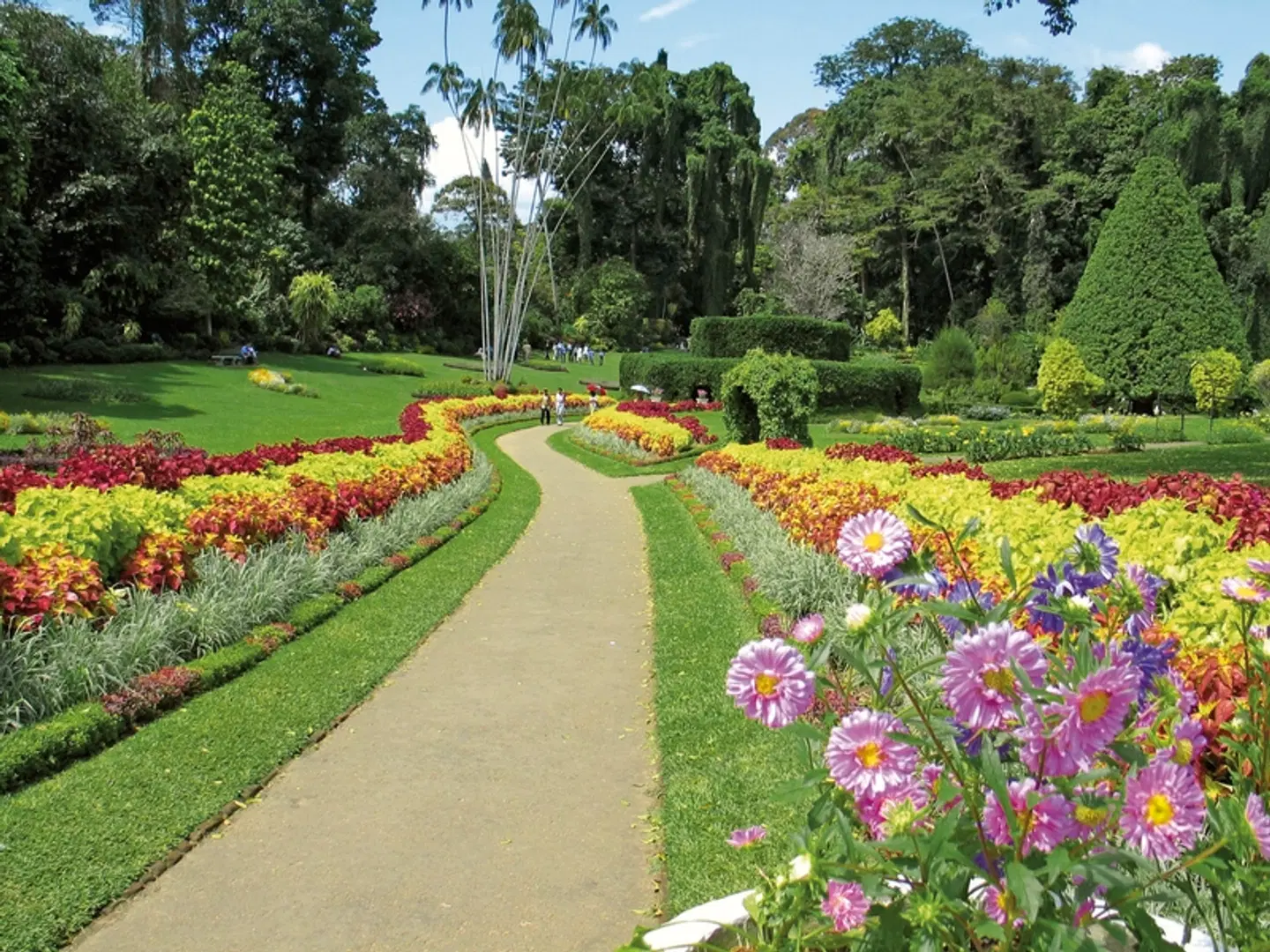 Perle im Indischen Ozean Garten