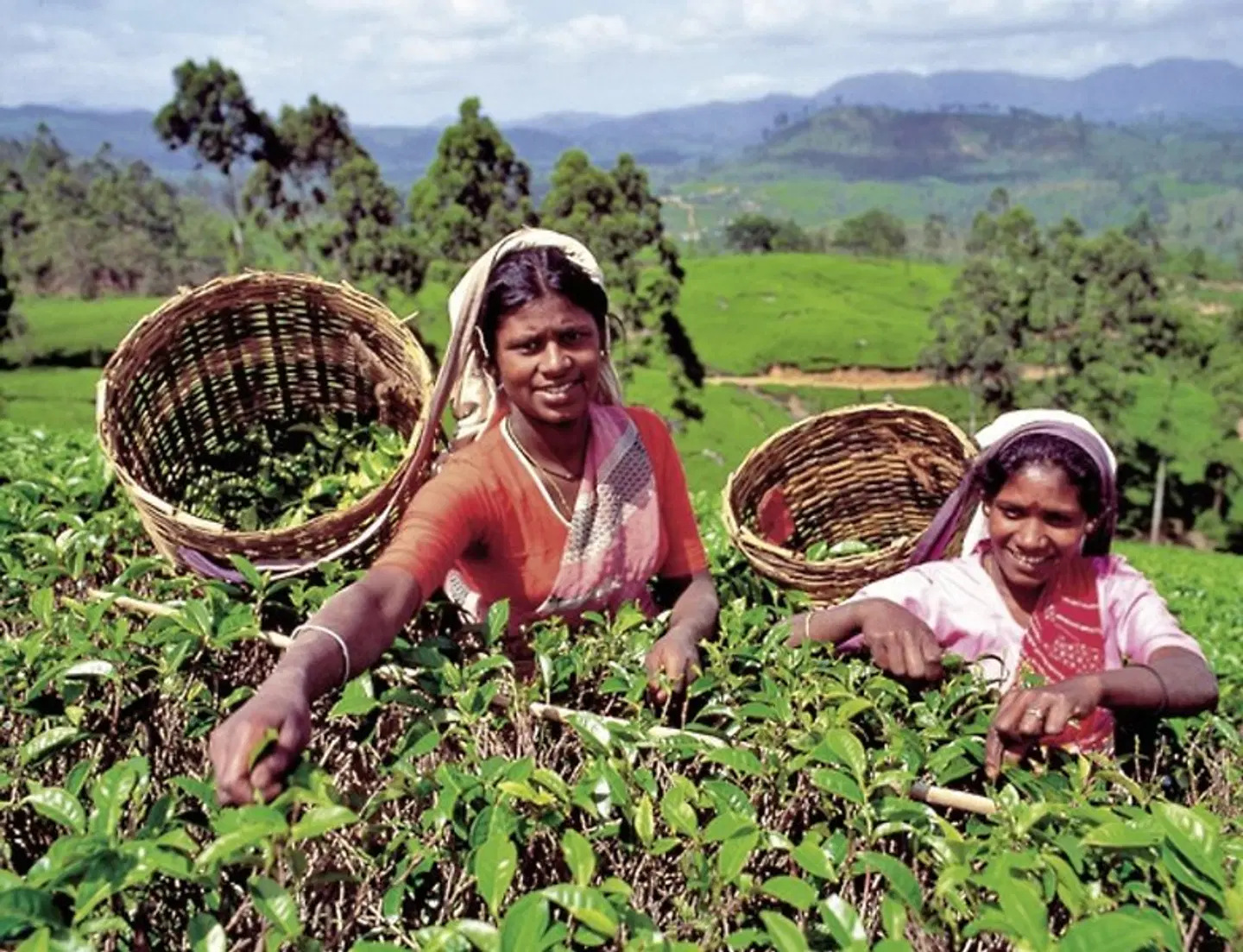 Perle im Indischen Ozean SPORTS_AND_LEISURE