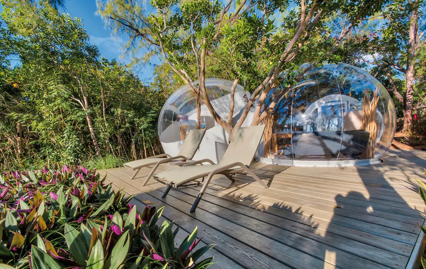 Bubble Lodge Ile aux Cerfs EXTERIOR