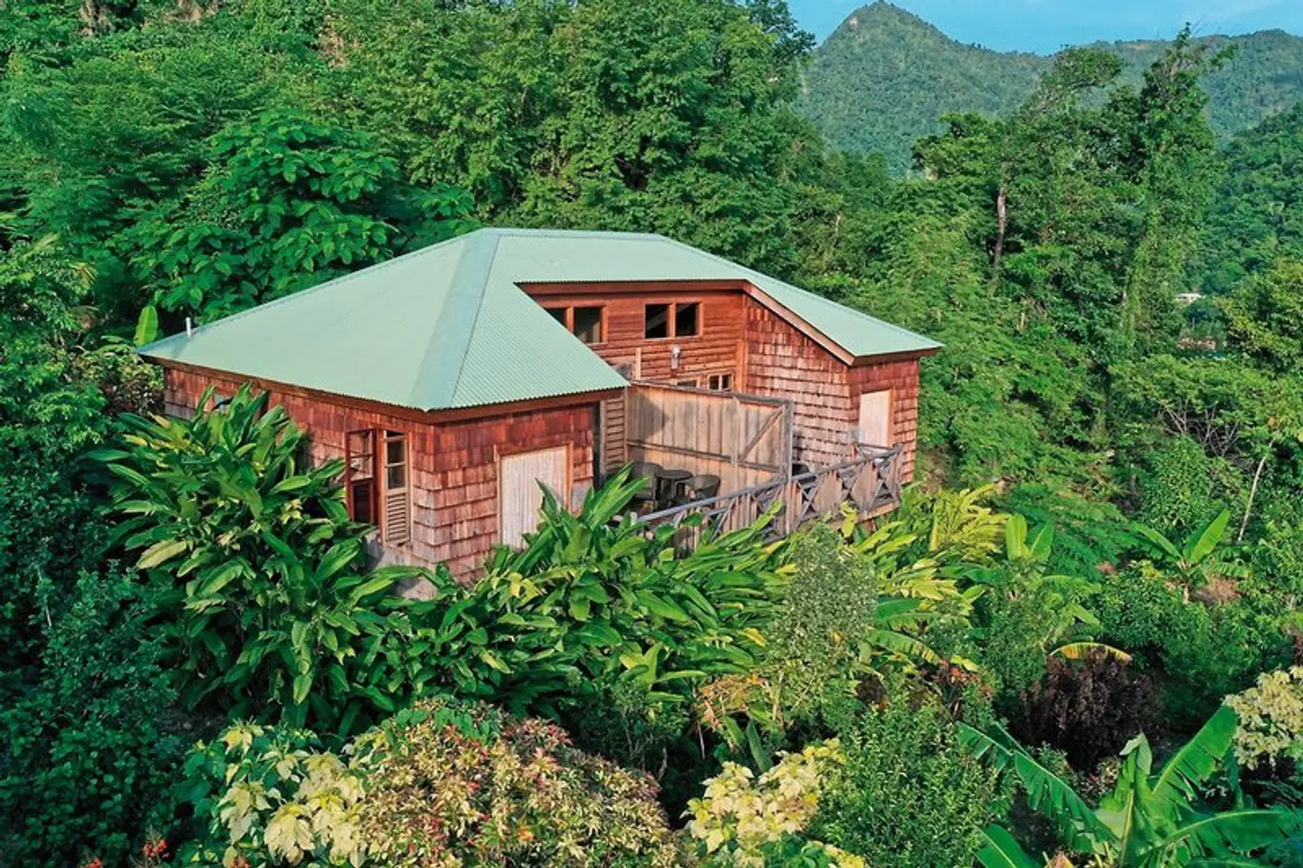 Jungle Bay EXTERIOR