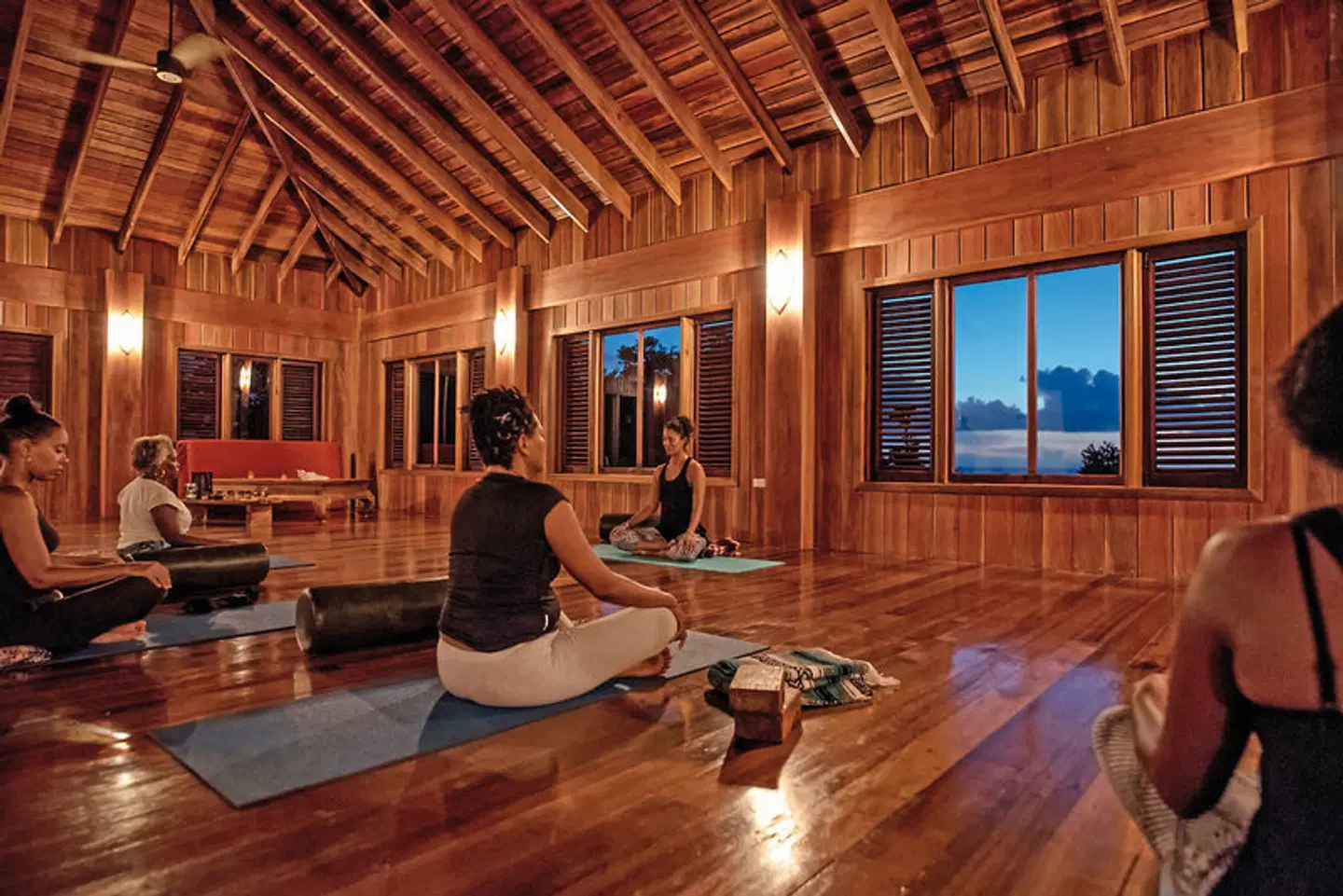 Jungle Bay HEALTH_BEAUTY